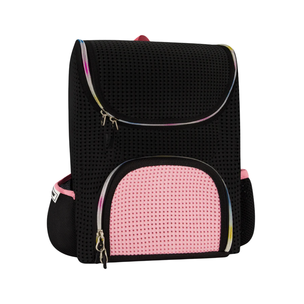 Student Backpack